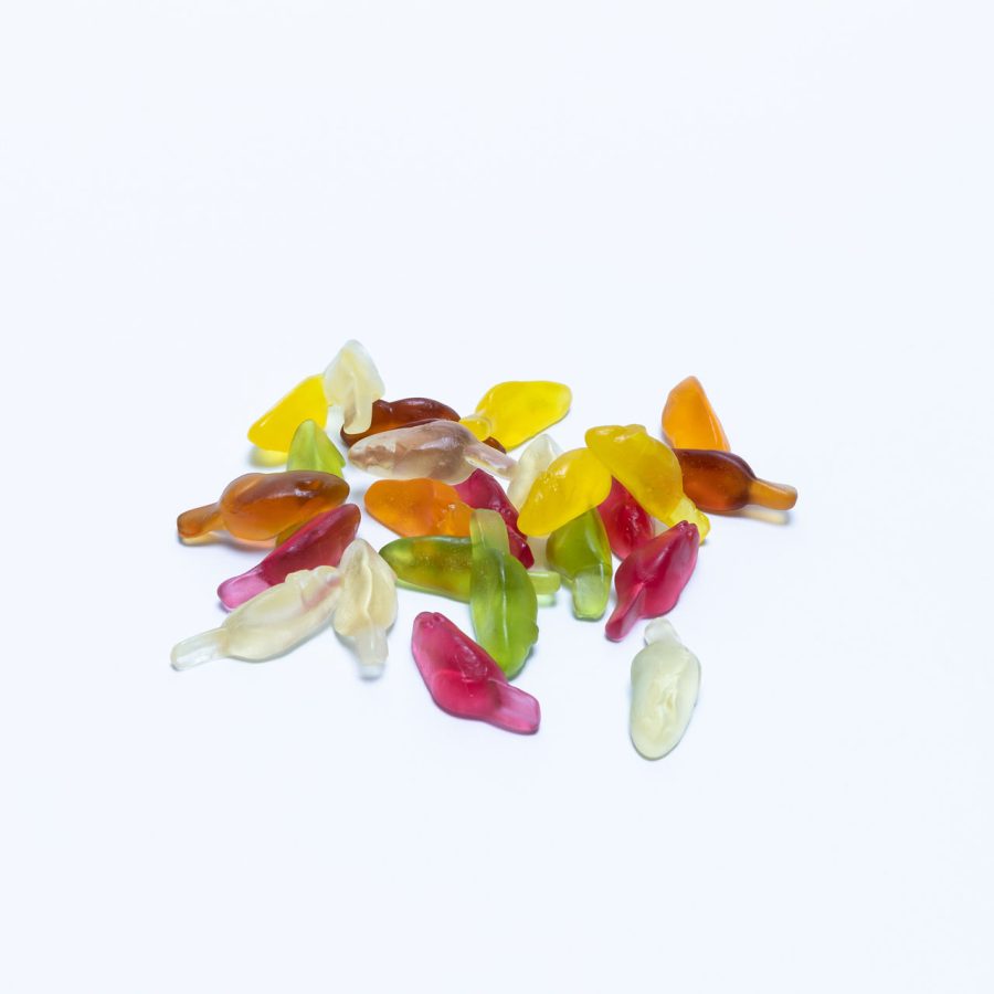 Frisia muisjes